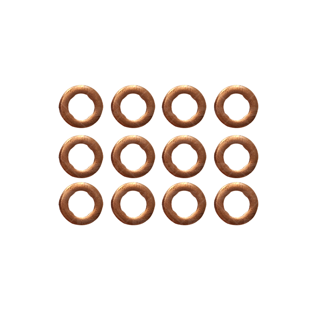 Kit de 12 Arandelas para Tobera Inyector Bosch 0445116034/0445116035 (N.P. LDFG1139)