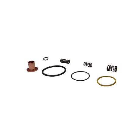 Kit de Reparación Newtec para Inyector diesel Cummins ISX 15 N.P. G1K308918501SX